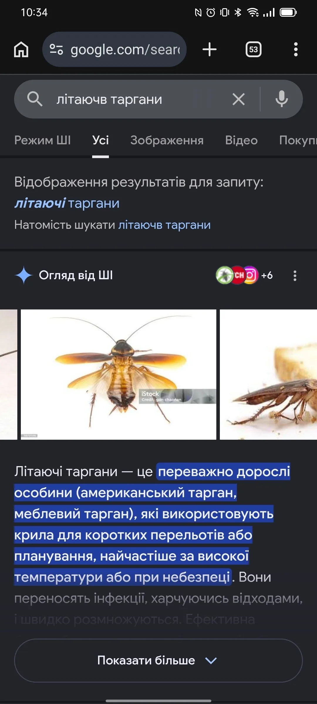 Вони буквально літають 🥲