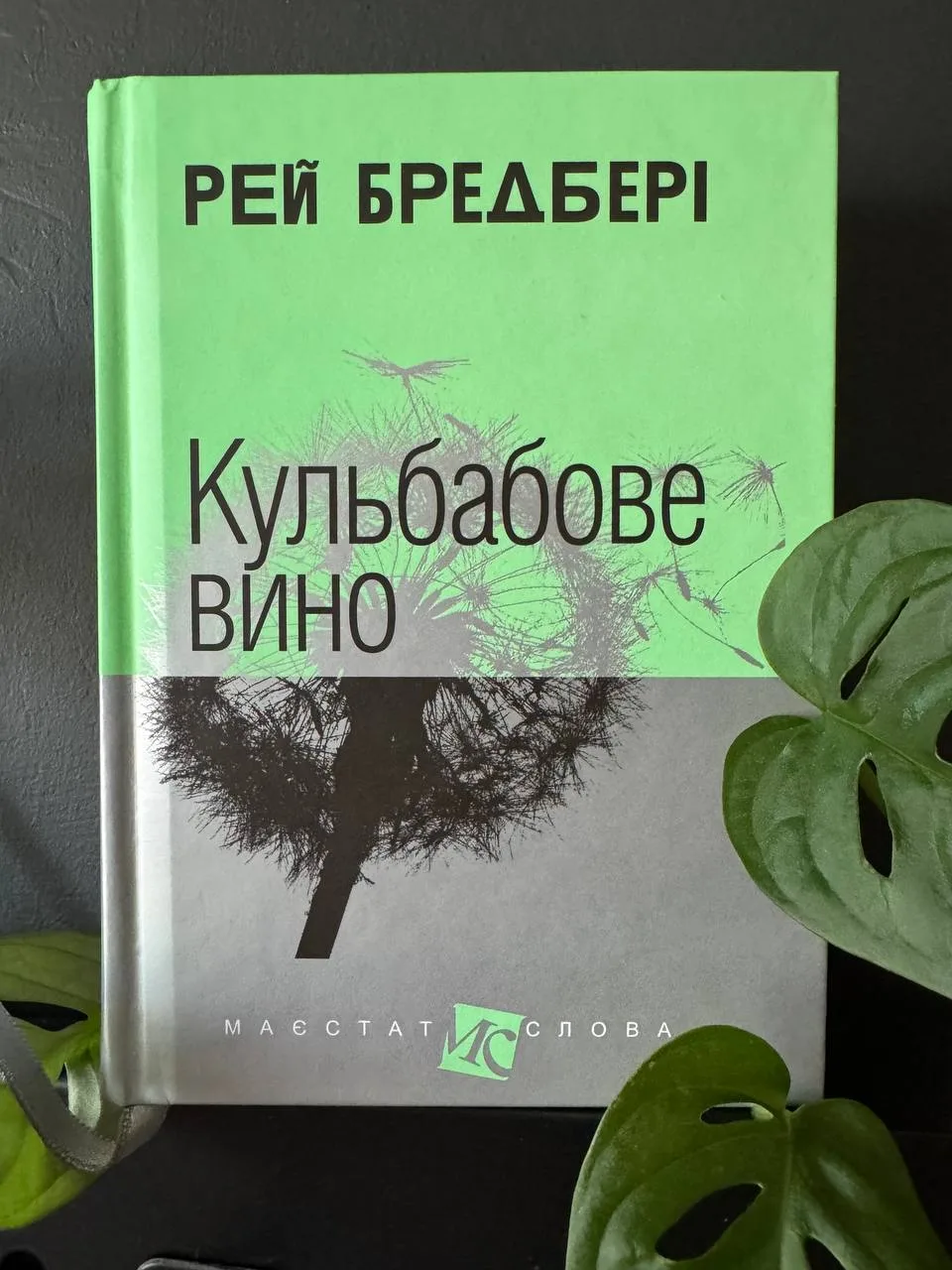 Фото з чату