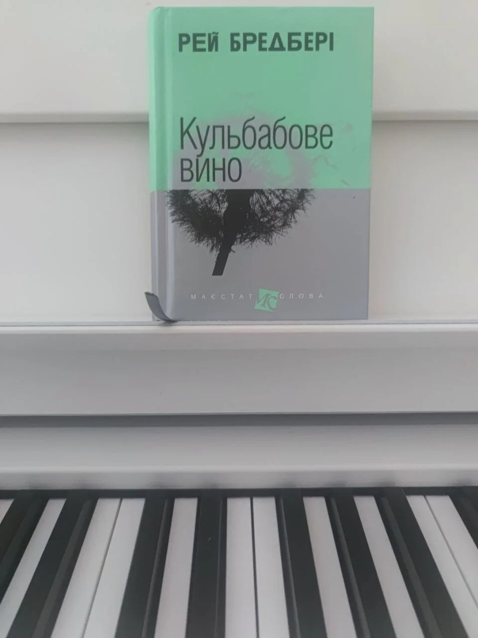 Я тут згадала, що ще не фоткала книжку(вона таки доїхала до Іспанії). До речі, на піаніно вона стоїть не просто так (і не тільки заради пафосу), але забагато спойлерити не буду, приходьте на обговорення)